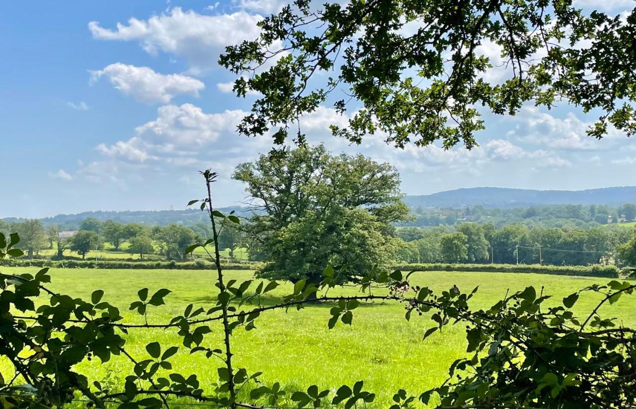 Malleret-Boussac Domaine Le Rianonヴィラ エクステリア 写真