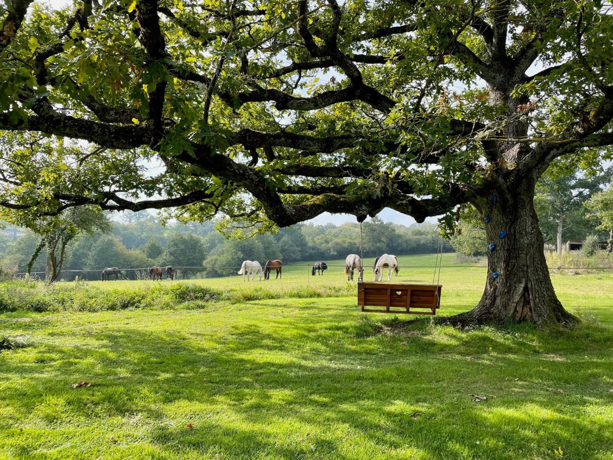 Malleret-Boussac Domaine Le Rianonヴィラ エクステリア 写真
