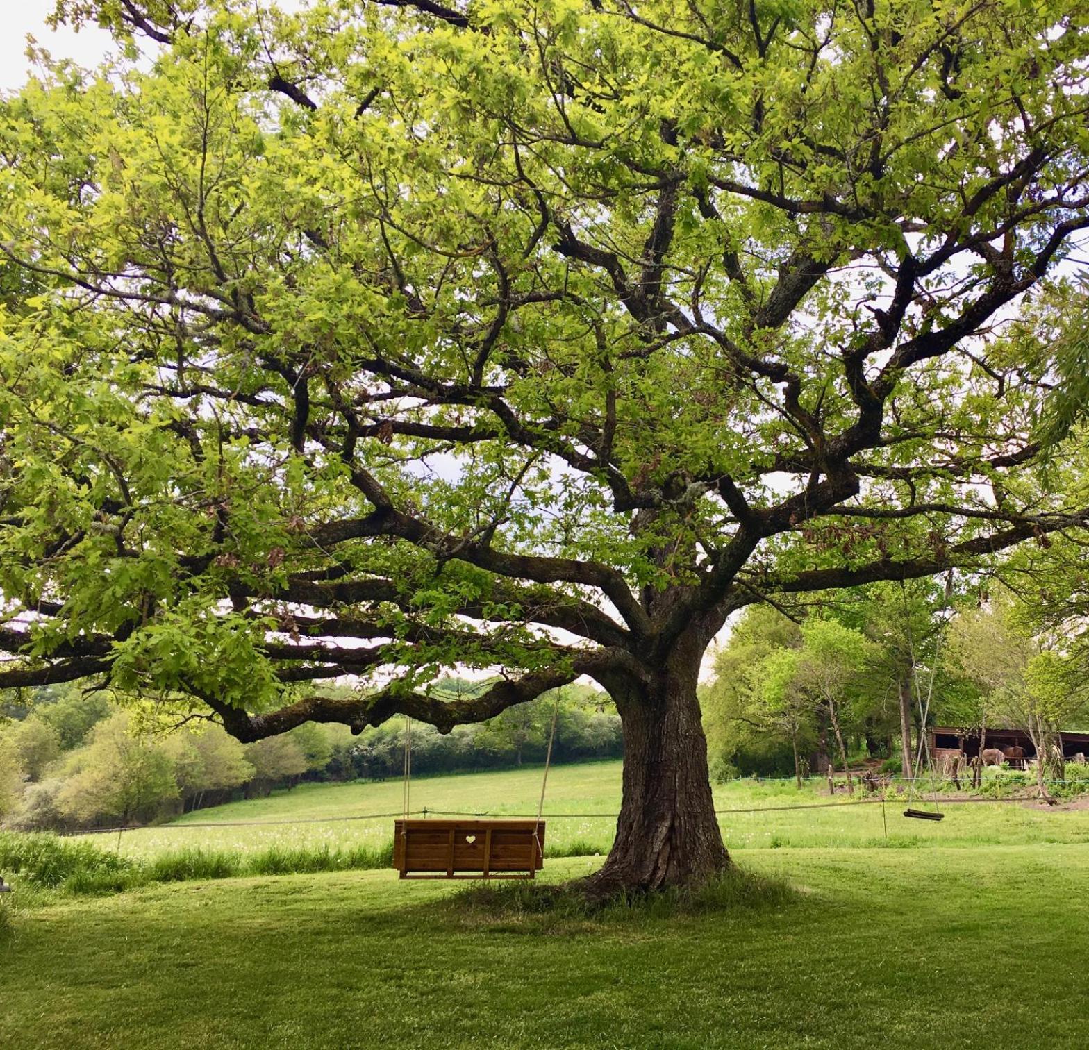 Malleret-Boussac Domaine Le Rianonヴィラ エクステリア 写真