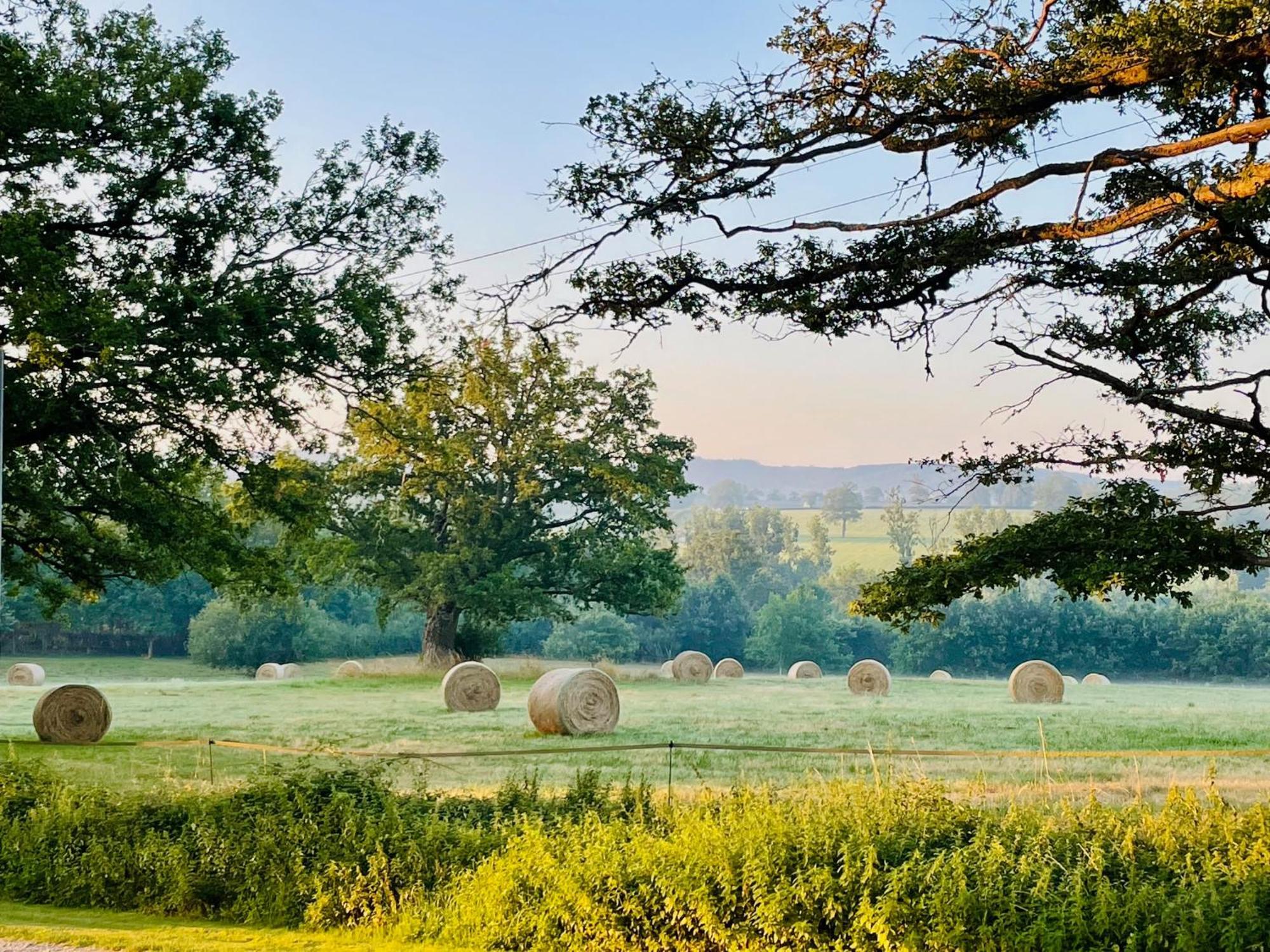 Malleret-Boussac Domaine Le Rianonヴィラ エクステリア 写真