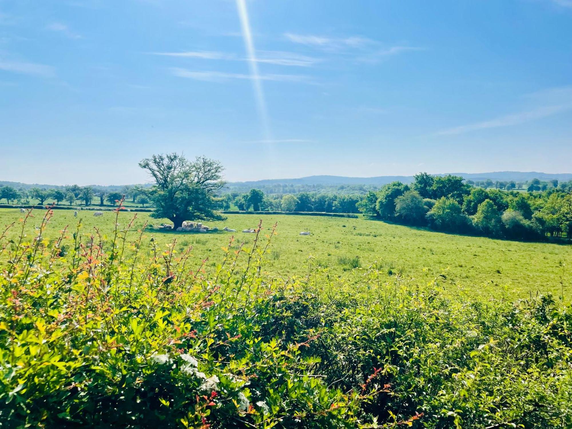 Malleret-Boussac Domaine Le Rianonヴィラ エクステリア 写真