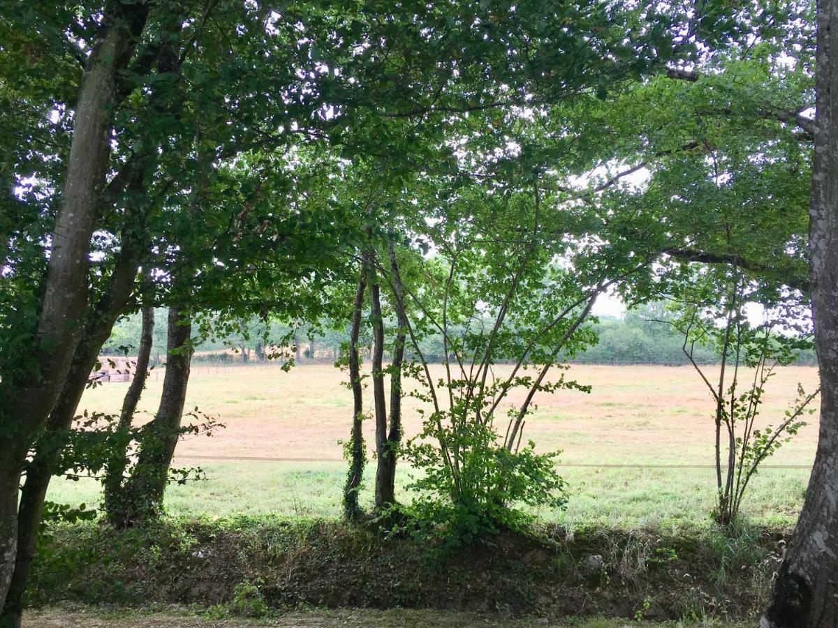 Malleret-Boussac Domaine Le Rianonヴィラ エクステリア 写真